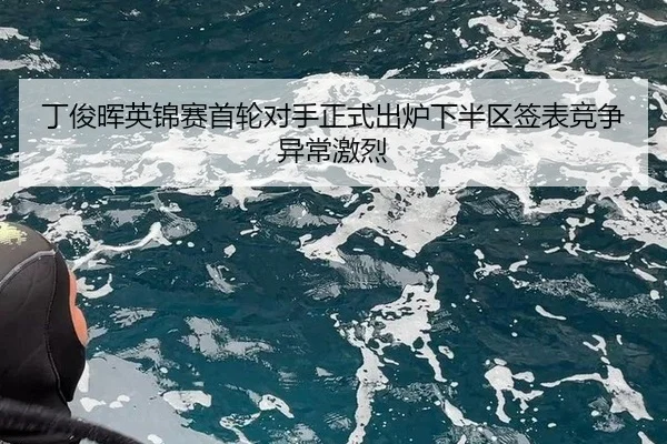 ding-jun-hui-ying-jin-sai-shou-lun-dui-shou-zheng-shi-chu-lu-xia-ban-qu-qian-biao-jing-zheng-yi-chang-ji-lie-3-942.jpg