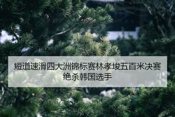 duan-dao-su-hua-si-da-zhou-jin-biao-sai-lin-xiao-jun-wu-bai-mi-jue-sai-jue-sha-han-guo-xuan-shou-2-933.jpg